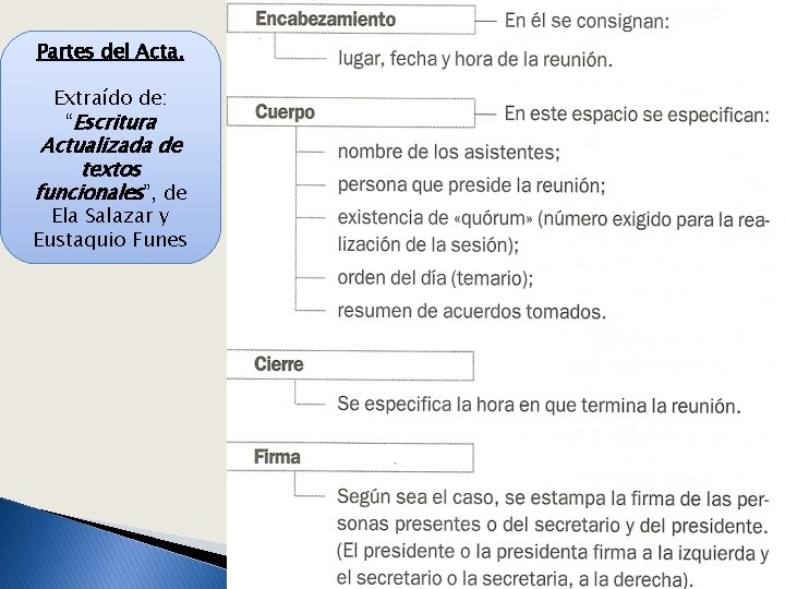 Partes del Acta. Extraído de: “Escritura Actualizada de textos funcionales”, de Ela Salazar y
