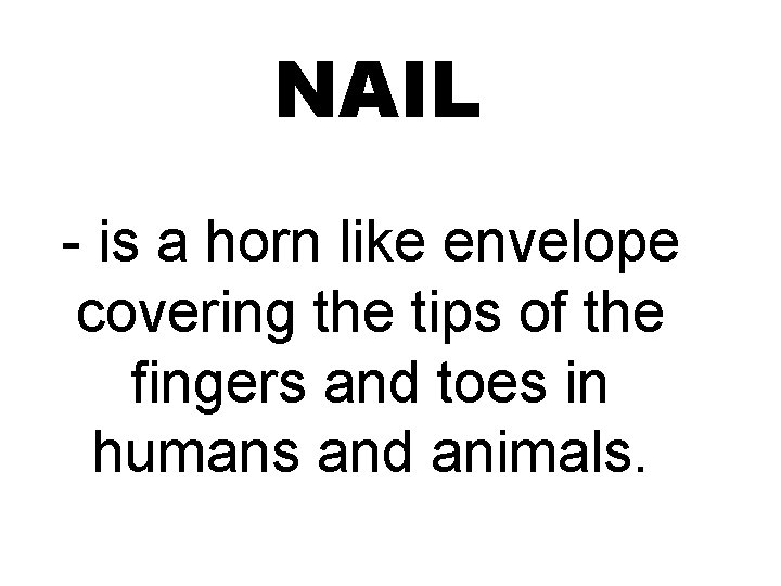 NAIL - is a horn like envelope covering the tips of the fingers and