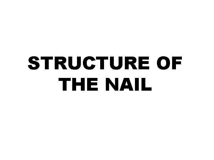 STRUCTURE OF THE NAIL 