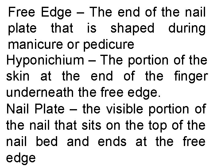 Free Edge – The end of the nail plate that is shaped during manicure