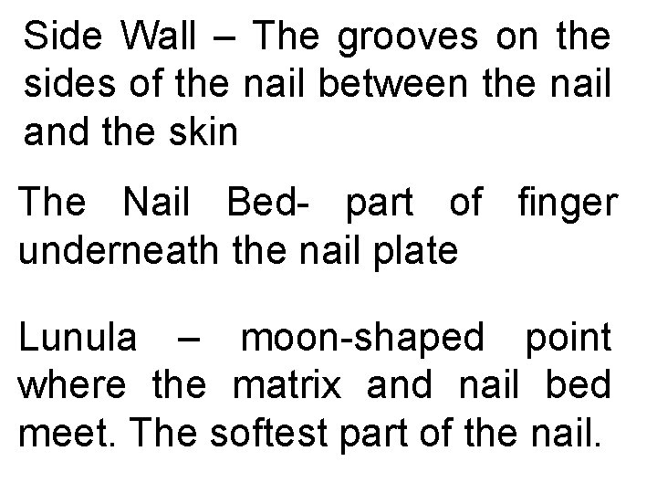 Side Wall – The grooves on the sides of the nail between the nail