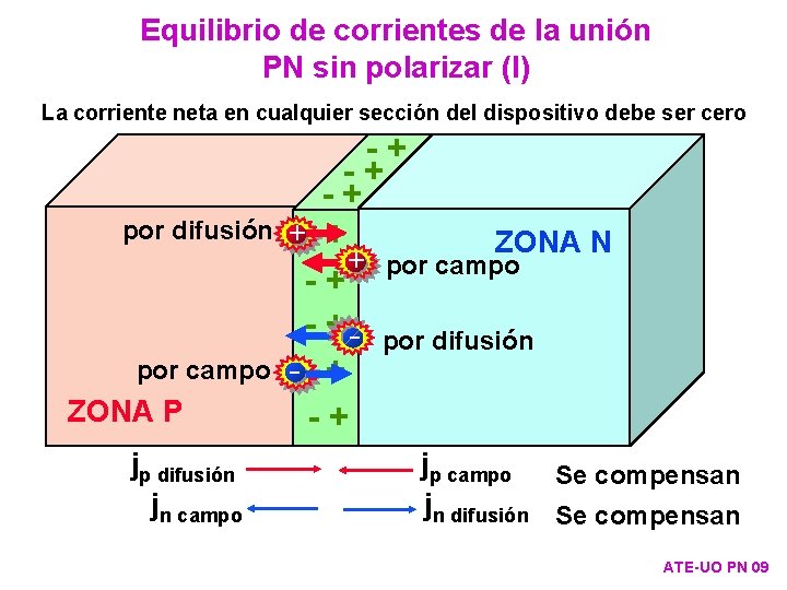 Equilibrio de corrientes de la unión PN sin polarizar (I) La corriente neta en