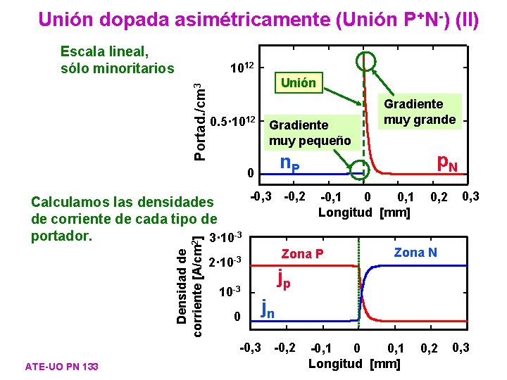 Unión dopada asimétricamente (Unión P+N-) (II) Escala lineal, sólo minoritarios Portad. /cm 3 1012