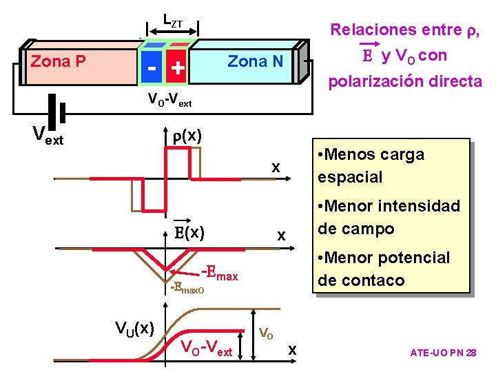 LLZTO ZT Zona P Relaciones entre , -- + Zona. NN Zona polarización directa