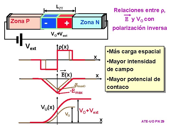 LLZTO ZT Zona P Relaciones entre , - - ++ Zona N N Zona