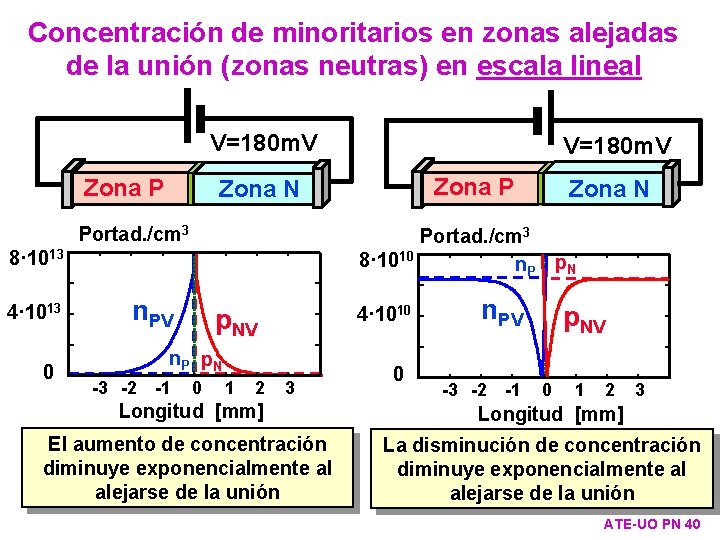 Concentración de minoritarios en zonas alejadas de la unión (zonas neutras) en escala lineal