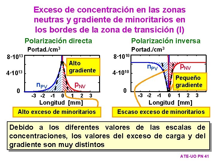 Exceso de concentración en las zonas neutras y gradiente de minoritarios en los bordes