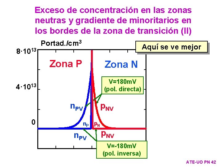 Exceso de concentración en las zonas neutras y gradiente de minoritarios en los bordes