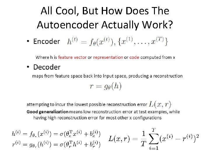 All Cool, But How Does The Autoencoder Actually Work? 