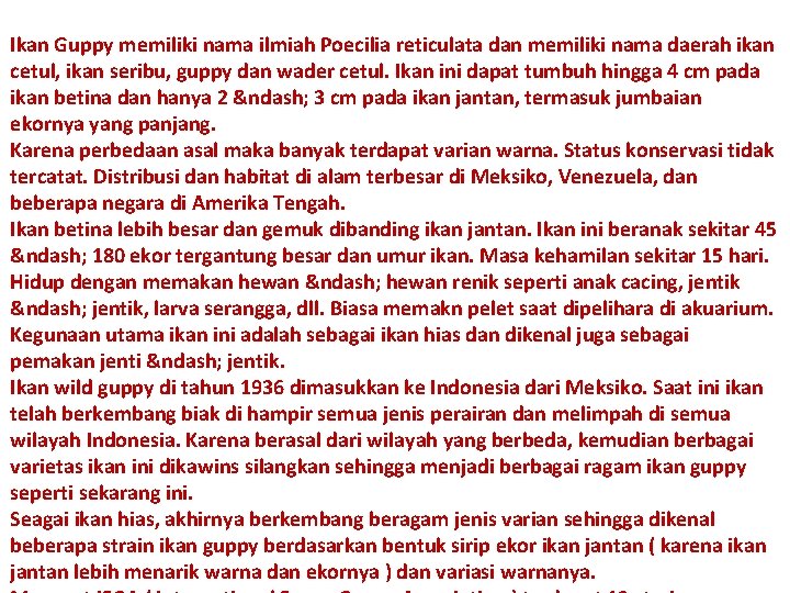 Ikan Guppy memiliki nama ilmiah Poecilia reticulata dan memiliki nama daerah ikan cetul, ikan