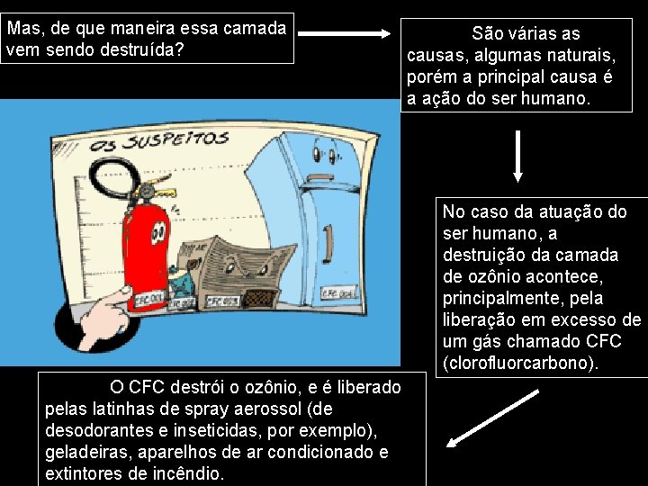 Mas, de que maneira essa camada vem sendo destruída? São várias as causas, algumas