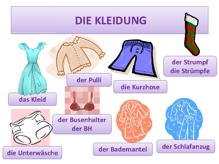 DIE KLEIDUNG der Strumpf die Strümpfe der Pulli die Kurzhose das Kleid der Busenhalter