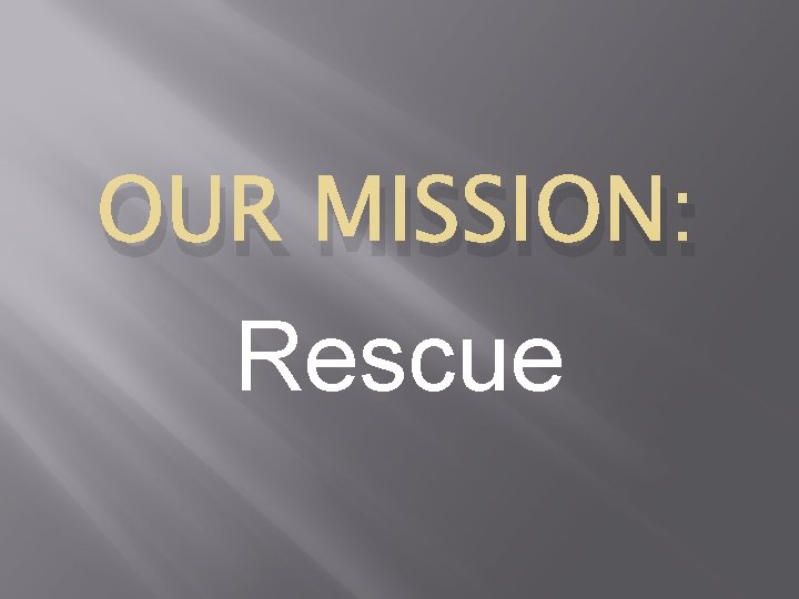 OUR MISSION: Rescue 