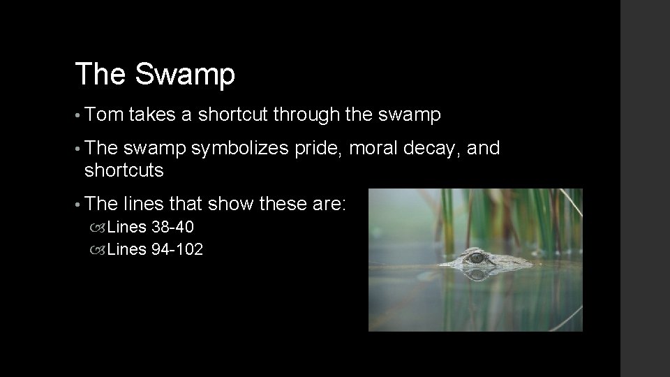 The Swamp • Tom takes a shortcut through the swamp • The swamp symbolizes