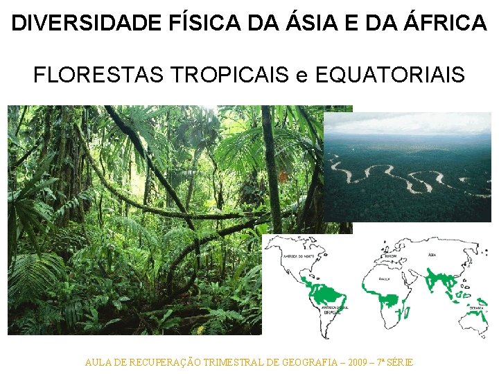 DIVERSIDADE FÍSICA DA ÁSIA E DA ÁFRICA FLORESTAS TROPICAIS e EQUATORIAIS AULA DE RECUPERAÇÃO DIVERSIDADE FÍSICA DA ÁSIA E DA ÁFRICA FLORESTAS TROPICAIS e EQUATORIAIS AULA DE RECUPERAÇÃO