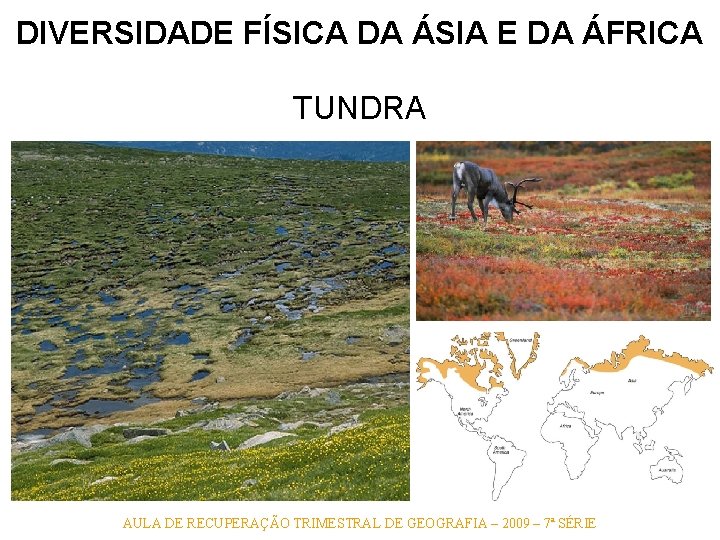 DIVERSIDADE FÍSICA DA ÁSIA E DA ÁFRICA TUNDRA AULA DE RECUPERAÇÃO TRIMESTRAL DE GEOGRAFIA DIVERSIDADE FÍSICA DA ÁSIA E DA ÁFRICA TUNDRA AULA DE RECUPERAÇÃO TRIMESTRAL DE GEOGRAFIA