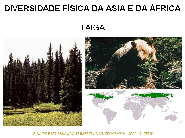 DIVERSIDADE FÍSICA DA ÁSIA E DA ÁFRICA TAIGA AULA DE RECUPERAÇÃO TRIMESTRAL DE GEOGRAFIA DIVERSIDADE FÍSICA DA ÁSIA E DA ÁFRICA TAIGA AULA DE RECUPERAÇÃO TRIMESTRAL DE GEOGRAFIA