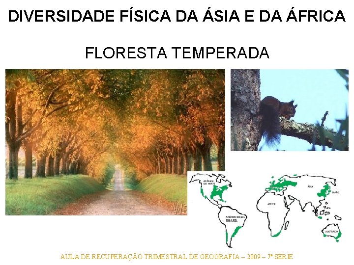 DIVERSIDADE FÍSICA DA ÁSIA E DA ÁFRICA FLORESTA TEMPERADA AULA DE RECUPERAÇÃO TRIMESTRAL DE DIVERSIDADE FÍSICA DA ÁSIA E DA ÁFRICA FLORESTA TEMPERADA AULA DE RECUPERAÇÃO TRIMESTRAL DE