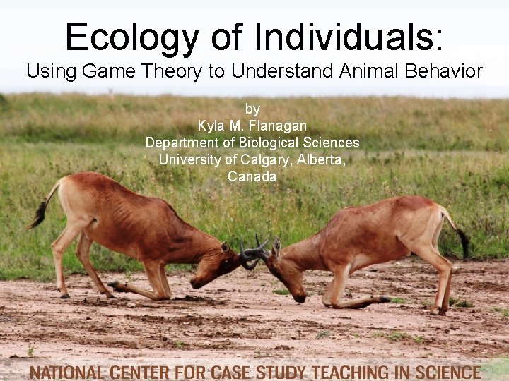 Ecology of Individuals: Using Game Theory to Understand Animal Behavior by Kyla M. Flanagan