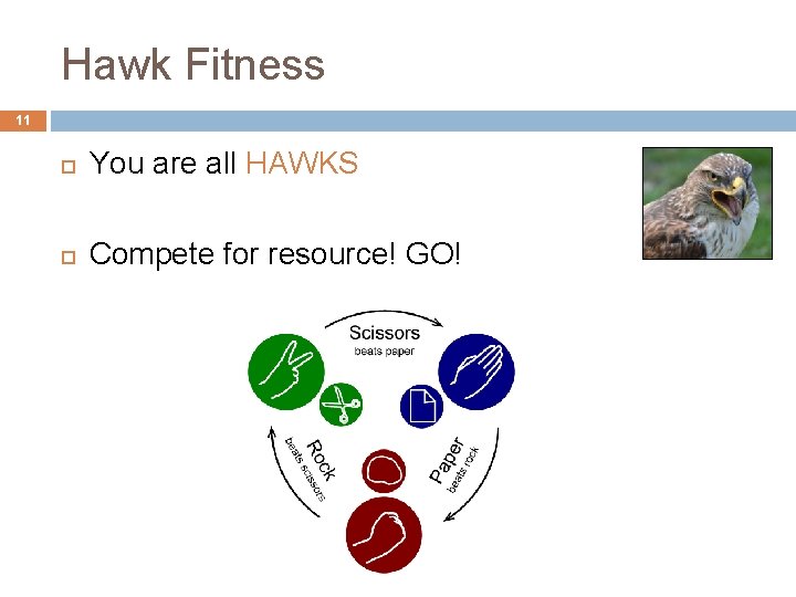 Hawk Fitness 11 You are all HAWKS Compete for resource! GO! 