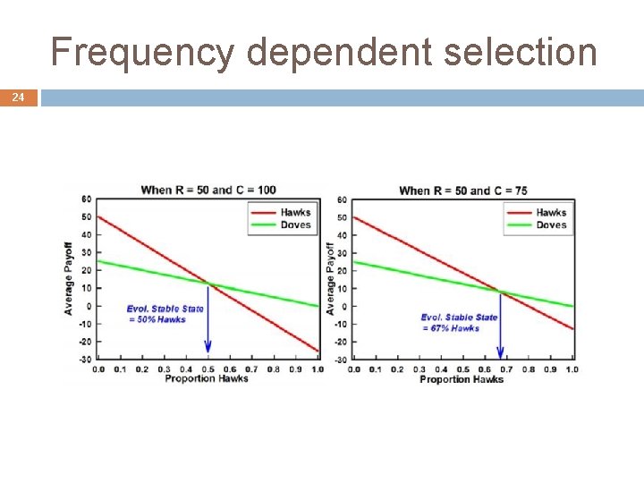 Frequency dependent selection 24 