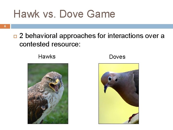 Hawk vs. Dove Game 6 2 behavioral approaches for interactions over a contested resource: