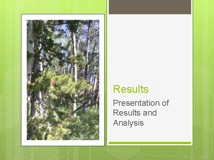 Results Presentation of Results and Analysis Results Presentation of Results and Analysis
