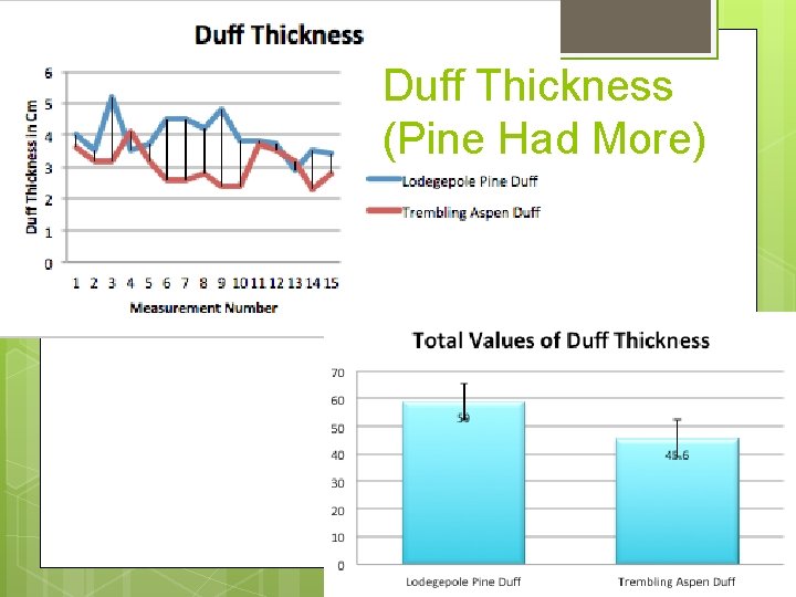 Duff Thickness (Pine Had More) Duff Thickness (Pine Had More)
