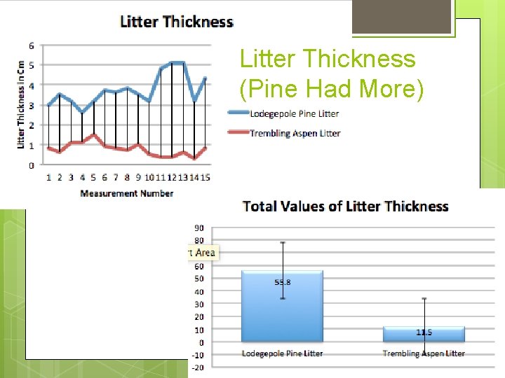 Litter Thickness (Pine Had More) Litter Thickness (Pine Had More)