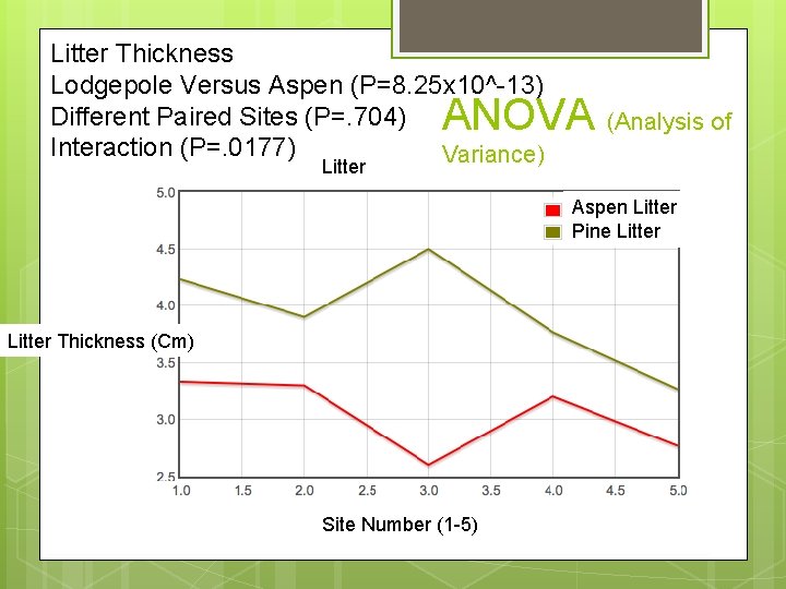Litter Thickness Lodgepole Versus Aspen (P=8. 25 x 10^-13) Different Paired Sites (P=. 704) Litter Thickness Lodgepole Versus Aspen (P=8. 25 x 10^-13) Different Paired Sites (P=. 704)
