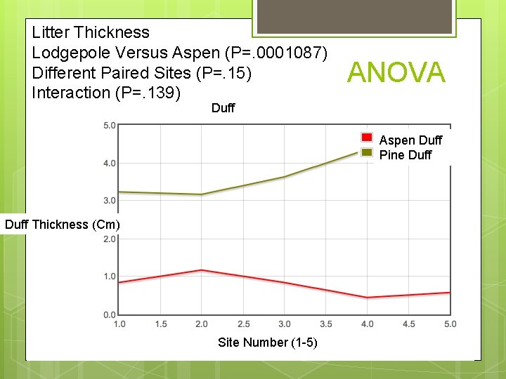 Litter Thickness Lodgepole Versus Aspen (P=. 0001087) Different Paired Sites (P=. 15) Interaction (P=. Litter Thickness Lodgepole Versus Aspen (P=. 0001087) Different Paired Sites (P=. 15) Interaction (P=.