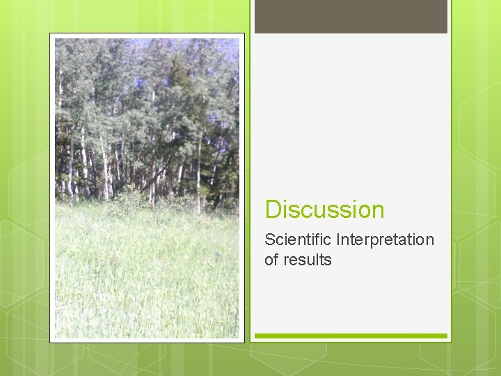 Discussion Scientific Interpretation of results Discussion Scientific Interpretation of results
