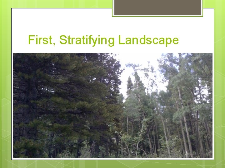 First, Stratifying Landscape First, Stratifying Landscape