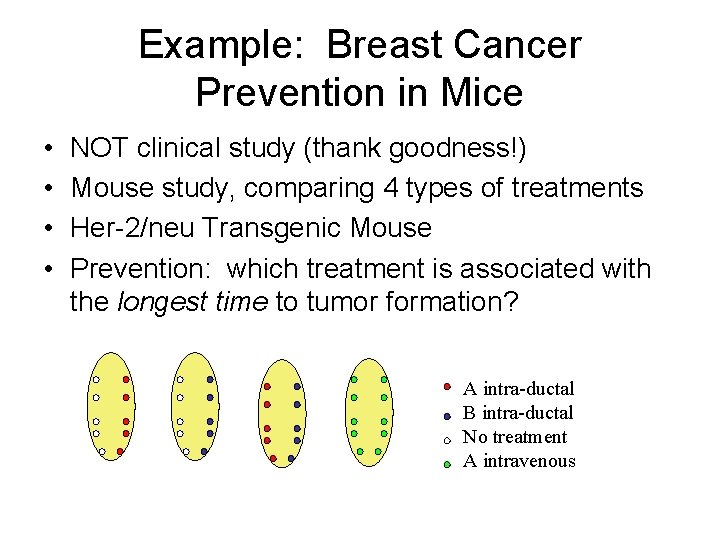 Example: Breast Cancer Prevention in Mice • • NOT clinical study (thank goodness!) Mouse
