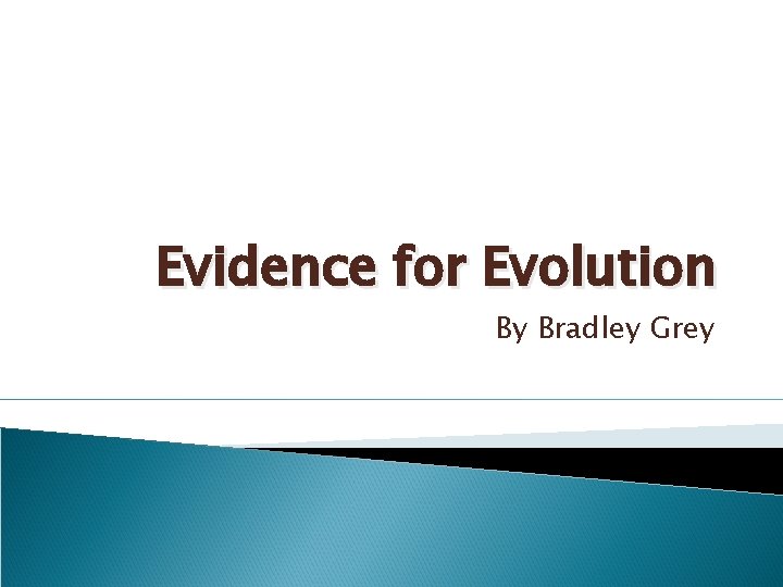 Evidence for Evolution By Bradley Grey 