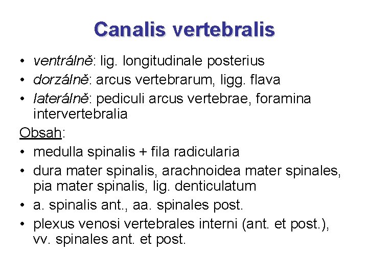 Canalis vertebralis • ventrálně: lig. longitudinale posterius • dorzálně: arcus vertebrarum, ligg. flava •