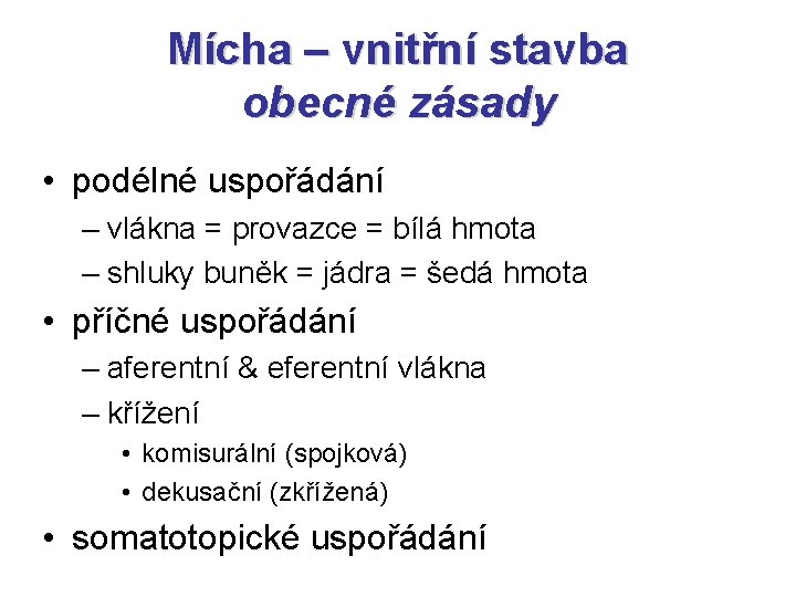 Mícha – vnitřní stavba obecné zásady • podélné uspořádání – vlákna = provazce =