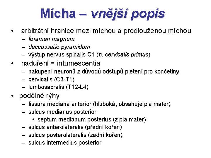 Mícha – vnější popis • arbitrátní hranice mezi míchou a prodlouženou míchou – foramen