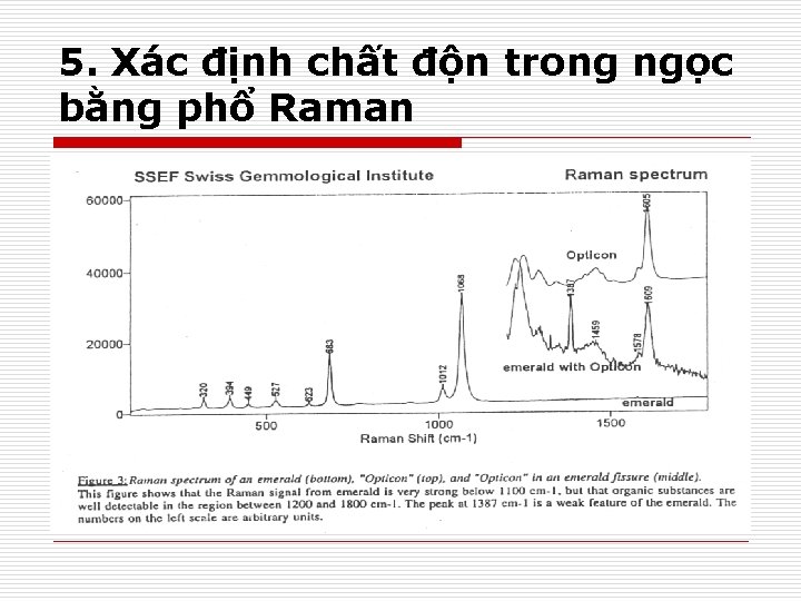 5. Xác định chất độn trong ngọc bằng phổ Raman 