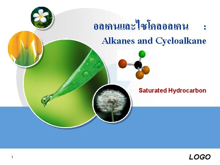 อลเคนและไซโคลอลเคน : Alkanes and Cycloalkane Saturated Hydrocarbon 1 LOGO 