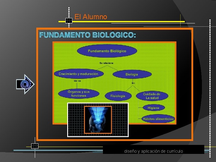 El Alumno FUNDAMENTO BIOLÓGICO: diseño y aplicación de currículo 