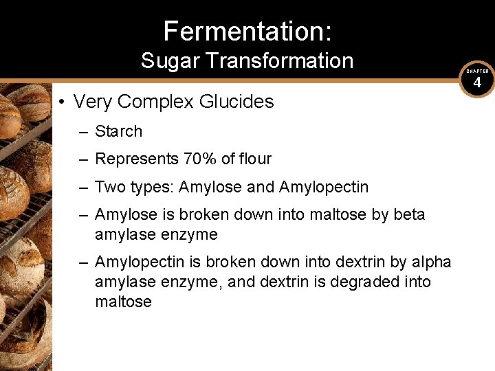 Fermentation: Sugar Transformation • Very Complex Glucides – Starch – Represents 70% of flour