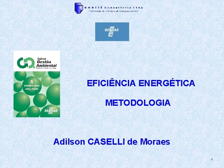 EFICIÊNCIA ENERGÉTICA METODOLOGIA Adilson CASELLI de Moraes 1 