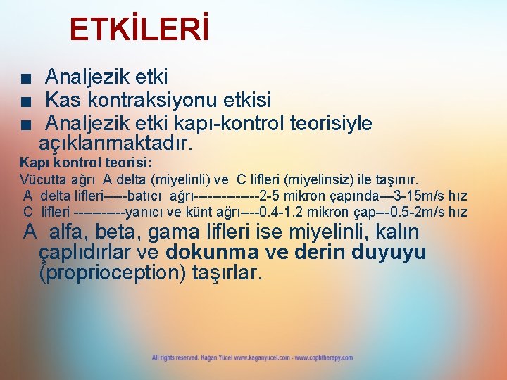 ETKİLERİ ■ Analjezik etki ■ Kas kontraksiyonu etkisi ■ Analjezik etki kapı-kontrol teorisiyle açıklanmaktadır.
