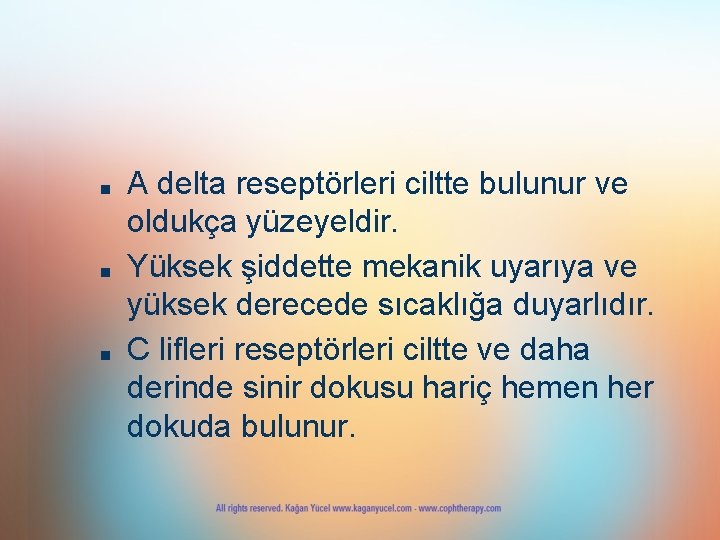 ■ ■ ■ A delta reseptörleri ciltte bulunur ve oldukça yüzeyeldir. Yüksek şiddette mekanik