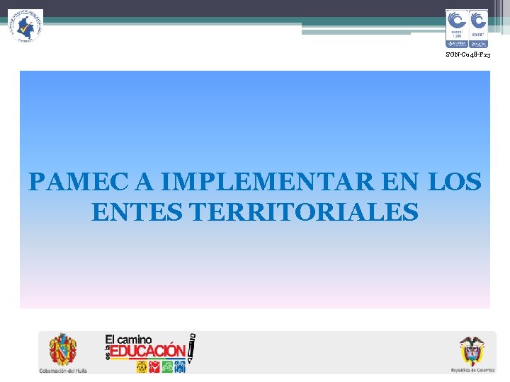  SGN-C 048 -F 23 PAMEC A IMPLEMENTAR EN LOS ENTES TERRITORIALES 