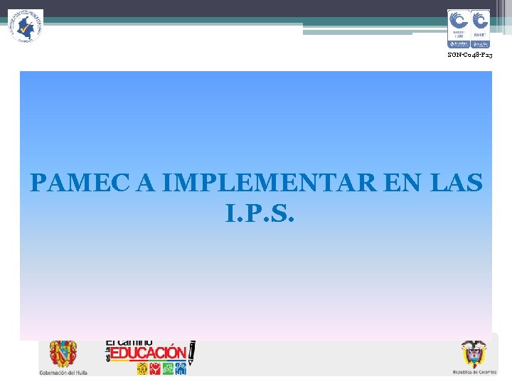  SGN-C 048 -F 23 PAMEC A IMPLEMENTAR EN LAS I. P. S. 