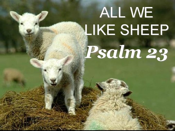 ALL WE LIKE SHEEP Psalm 23 