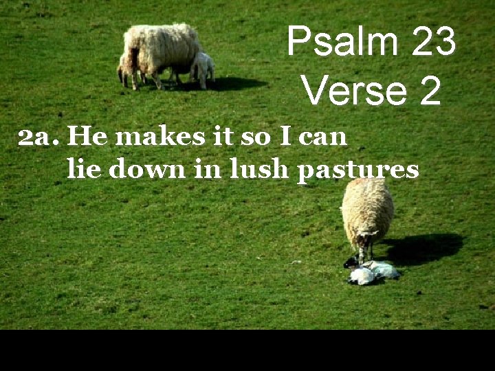 Psalm 23 Verse 2 2 a. He makes it so I can lie down