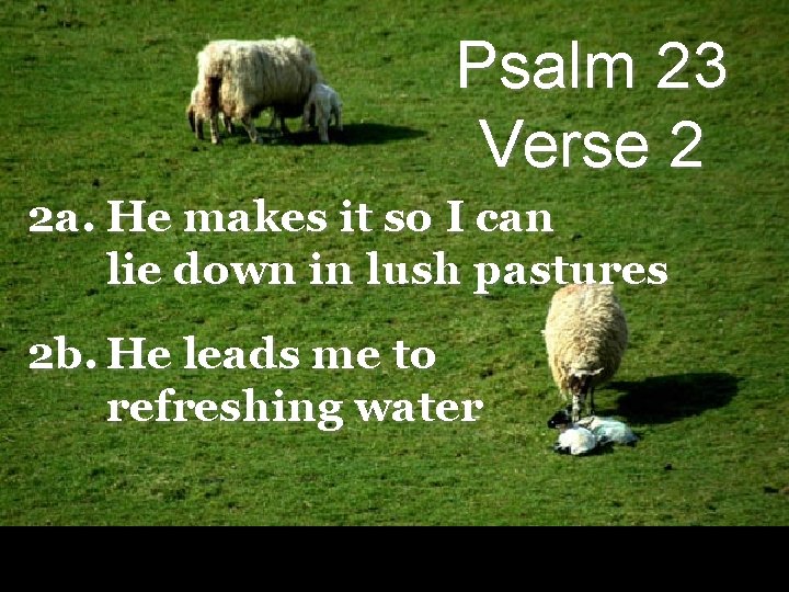 Psalm 23 Verse 2 2 a. He makes it so I can lie down